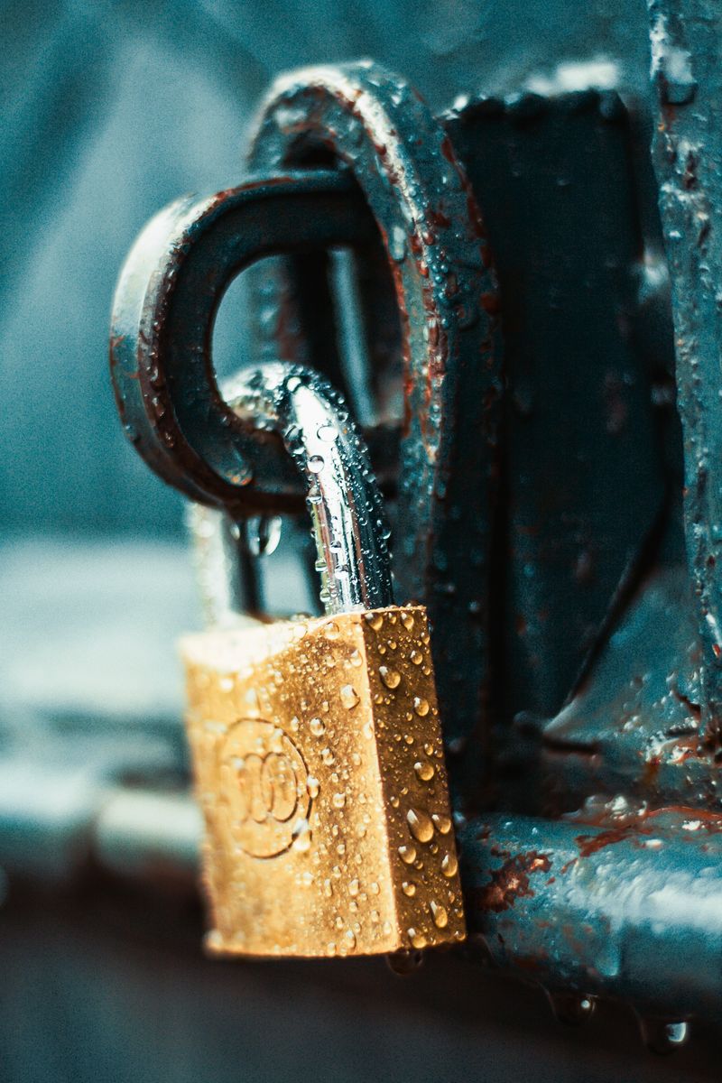 Protecting Your Data: Unveiling a Major Security Flaw in Synology's DiskStation Managerwordpress,dataprotection,securityflaw,SynologyDiskStationManager